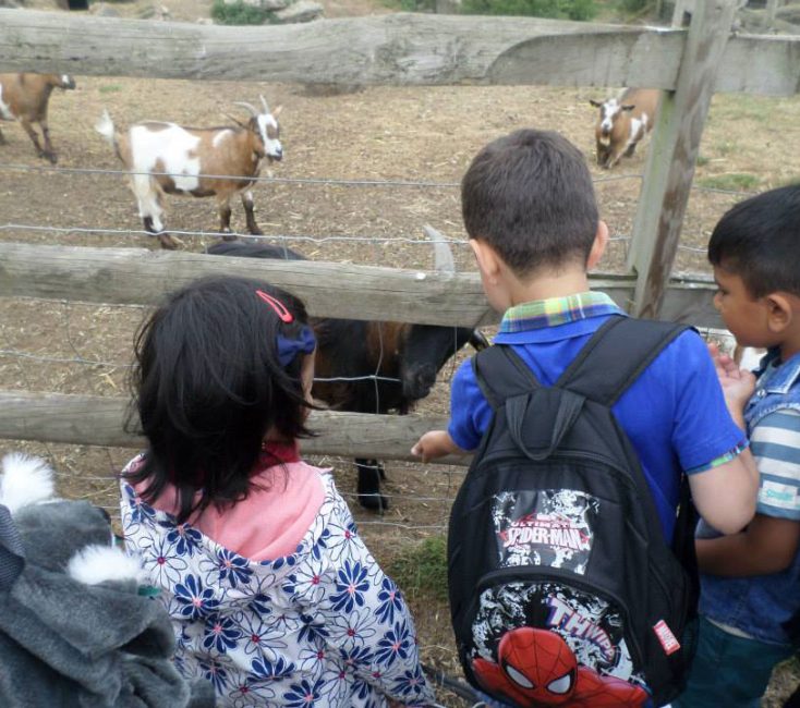 Farm Visit